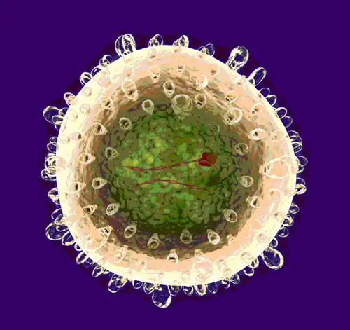 Вирусный гепатит Б