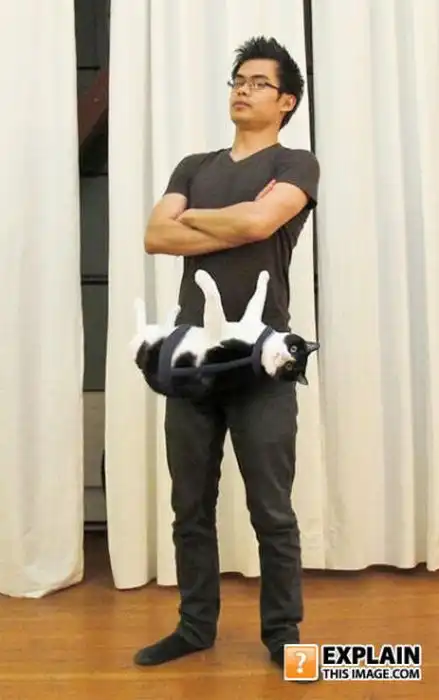 Фотографии, которые очень сложно объяснить