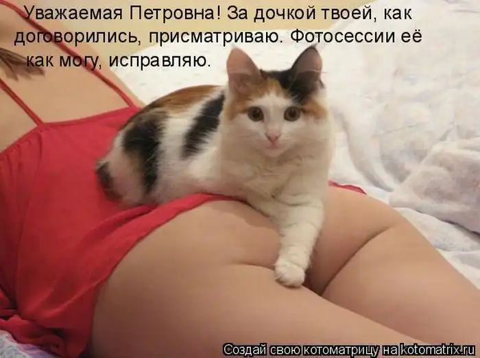 Лучшие котоматрицы недели