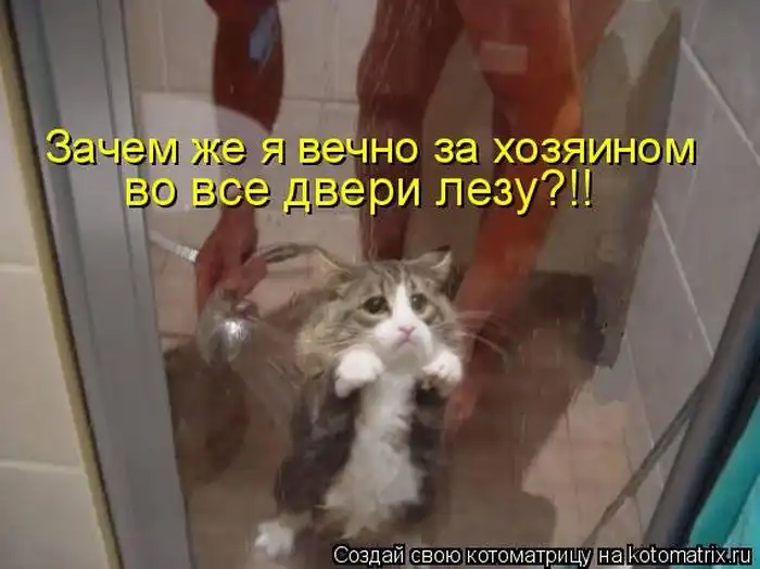 Лучшие котоматрицы недели