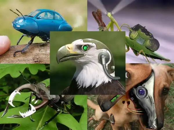 Животные - роботы.