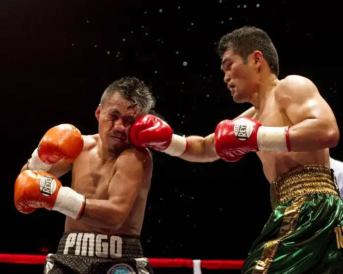 Точный боксерский удар