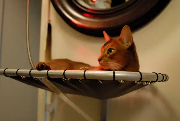 Hammock Cat Beds: гамак для любимой кошечки. Проект от Brat Cat Designs