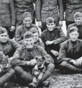 Собака, которая спасла Warner Brothers.