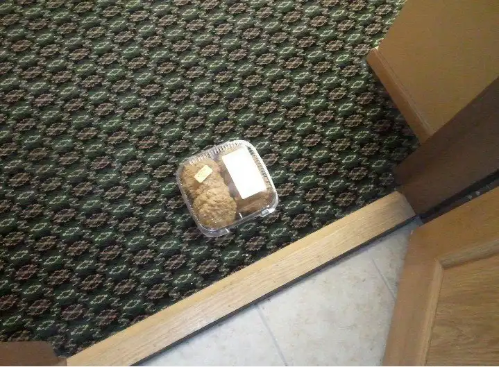 «Спустя час после того, как сменил название wi-fi сети на "Принесите печеньки в кв. 203"»