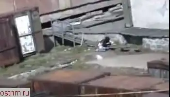 Белый медведь против девушки