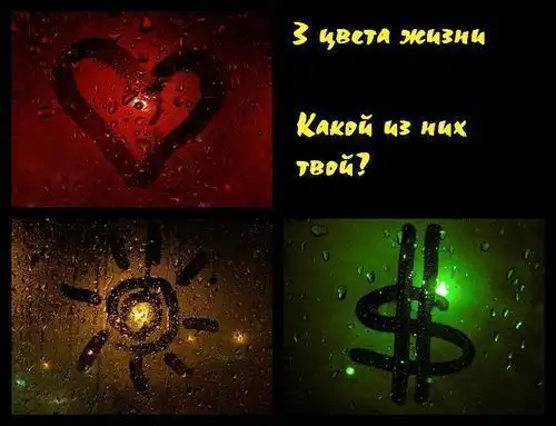 Разноцветные волосы -  супер картинки!