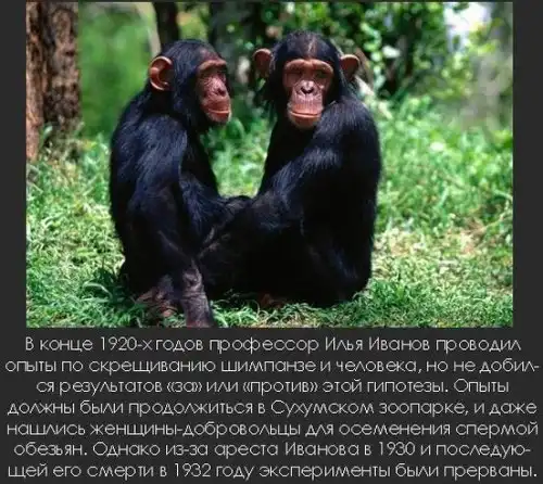 Интересные факты