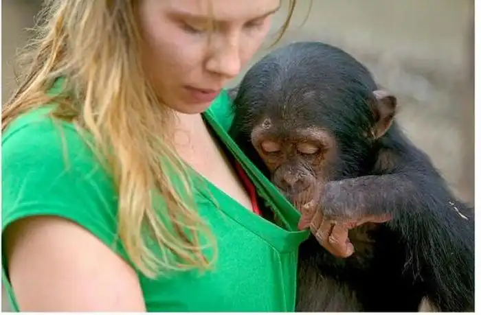 Прикольные картинки абавсём:D (16.01.12)