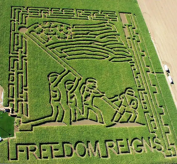 Кукурузные лабиринты