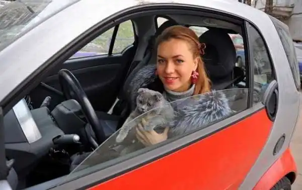 Автопарк участников телепроекта "Дом 2"