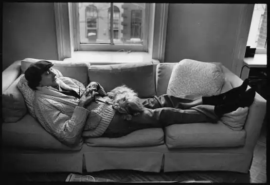 Обыденность