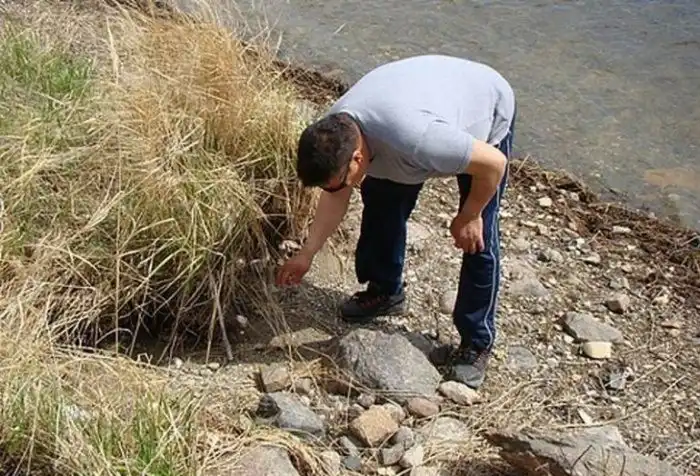 Странное животное найдено в Канаде (мини пост)