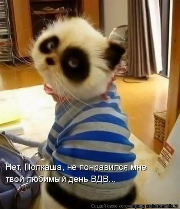 Лучшие котоматрицы недели