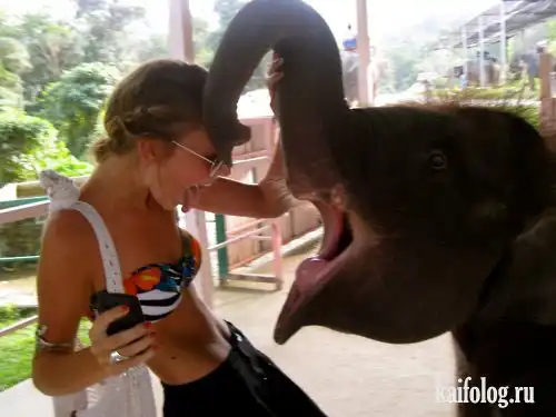 Прикольные картинки