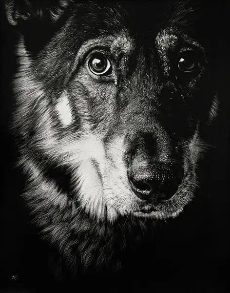 Гиперреалистичные волки Кристины Пенеску