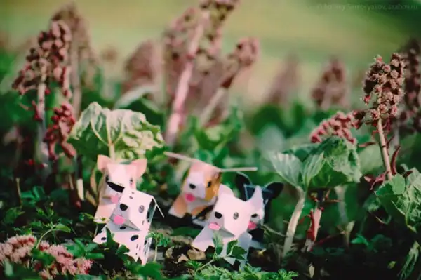 Путешествие бумажных собачек в Павловск (9 фото)