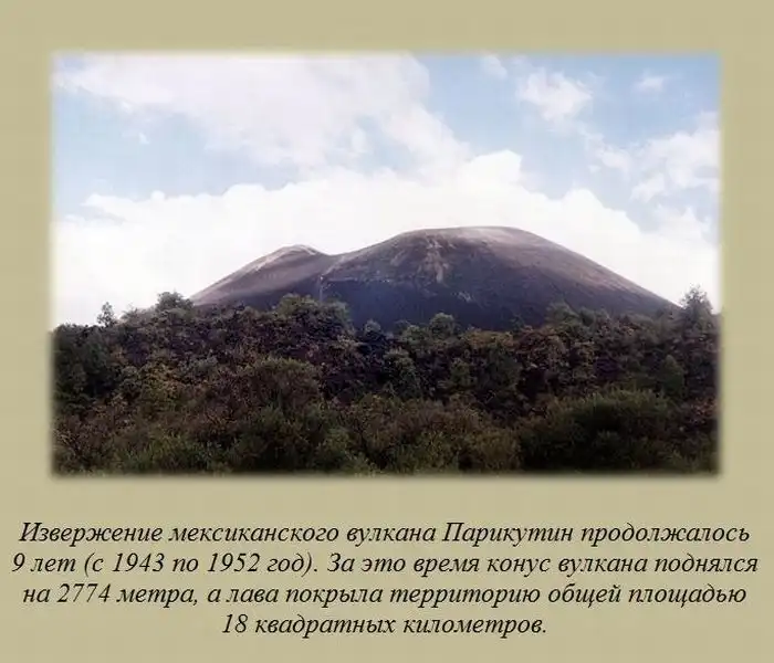 Познавательные факты