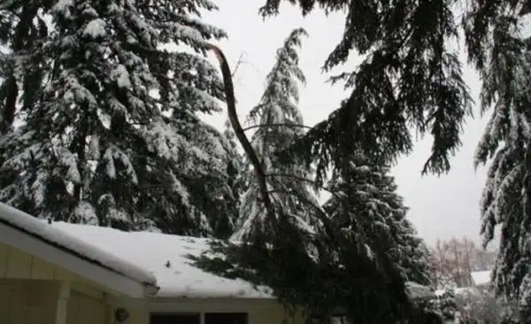 Чудесное спасение или "родился в рубашке"