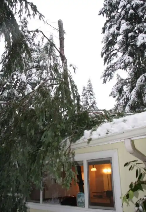 Чудесное спасение или "родился в рубашке"