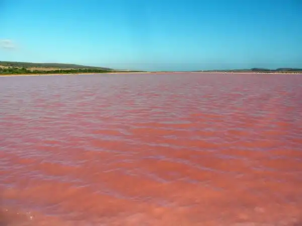 Розовое озеро на острове Миддл