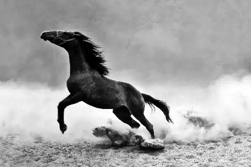 самые быстрые автомобили