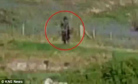 В валлийской долине засняли призрака в старинном платье