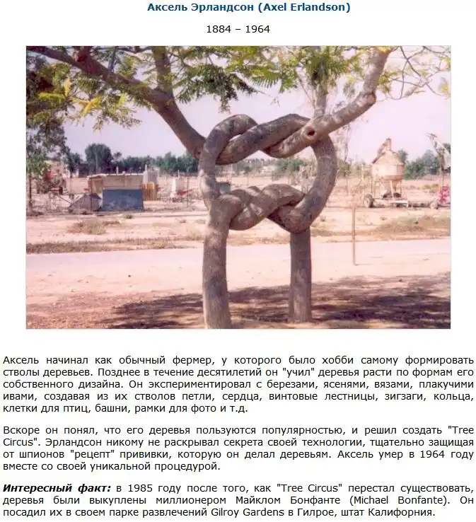 Загадки, на которые нет ответов