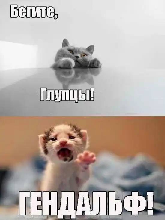 Прикольные картинки абавсём (17.10.12)