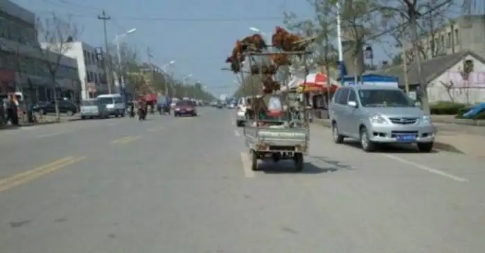 Суровый китайский транспорт