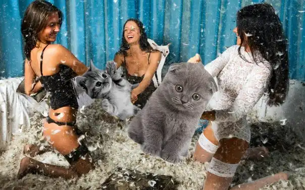 Трешовые картики абавсём:D (02.10.12)