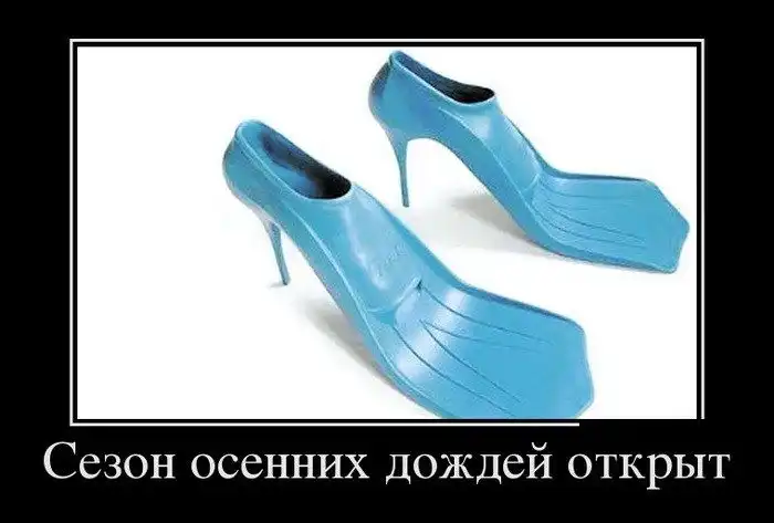 Картинки в черной рамке