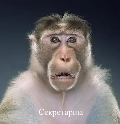 Кто-кто в офисе живет?