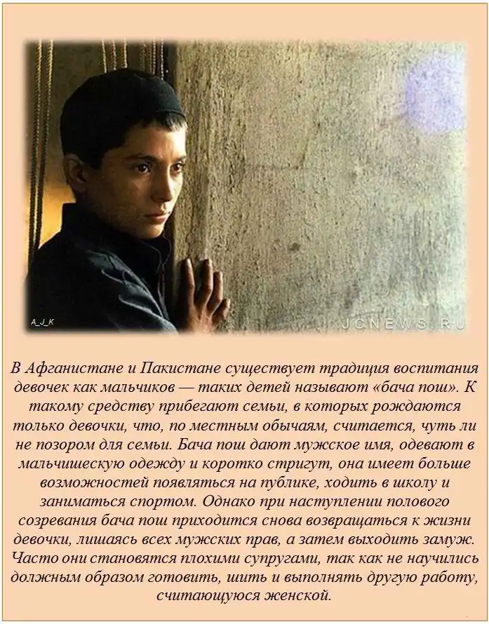 Факты обо всем на свете