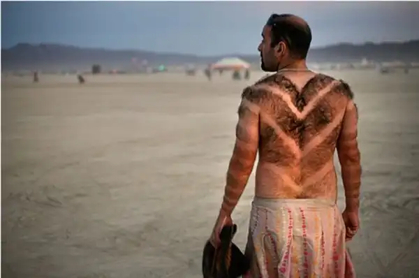 Доказательство теории Дарвина.