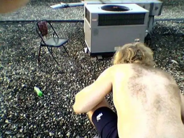 Доказательство теории Дарвина.