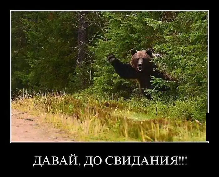 Картинки в черной рамке