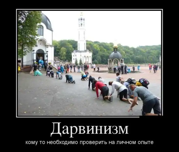 Картинки в черной рамке