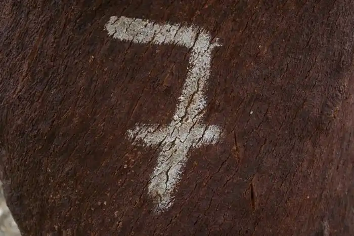 Как производят пробки для бутылок вина