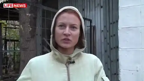 Пес неделю сторожит подругу, сбитую машиной