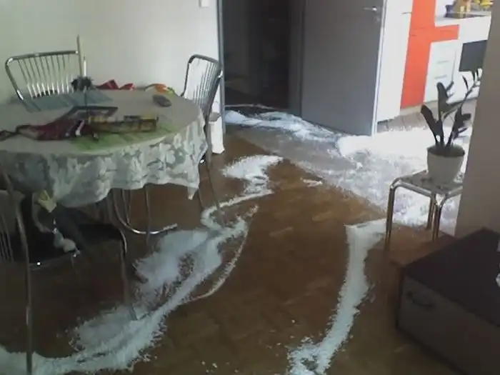 Когда собаке нечем заняться