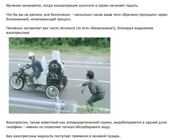 Что такое похмелье, и что посходит с нашим организмом