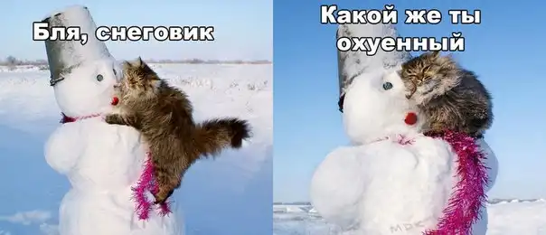 Трешовые картики абавсём:D (01.11.12)