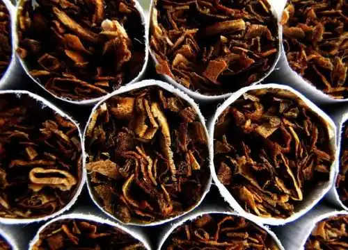 Что содержит в себе сигарета