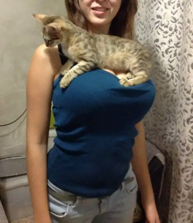 Прикольные картинки абавсём (13.11.12)