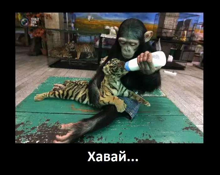 Разнообразная подборка =)