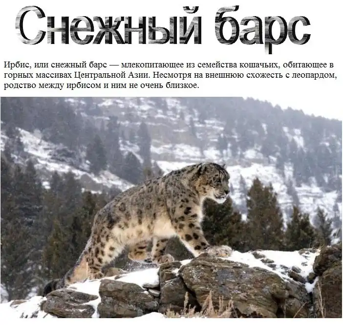 Снежный барс