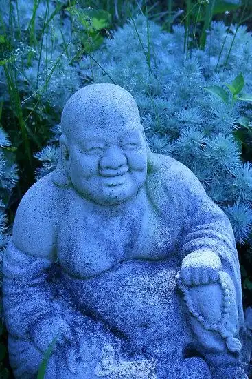 Соляночка =З