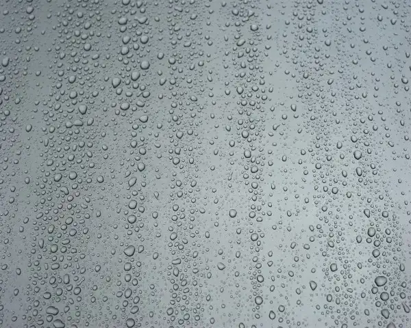 Соляночка =З