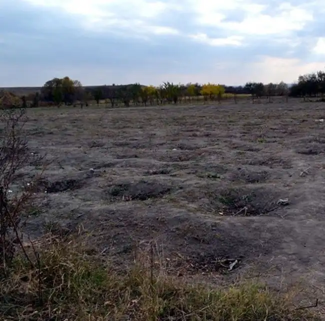 "Подготовка к зиме" закончилась тюремным заключением